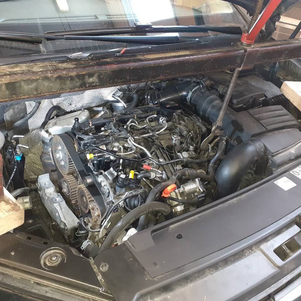 Motor